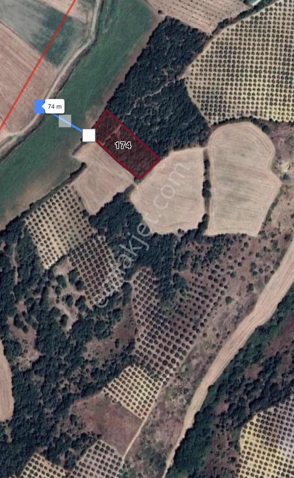 Bm Real Estate Karacabey Danışment'te 3850 M2 Satılık Tarla - Görsel 2
