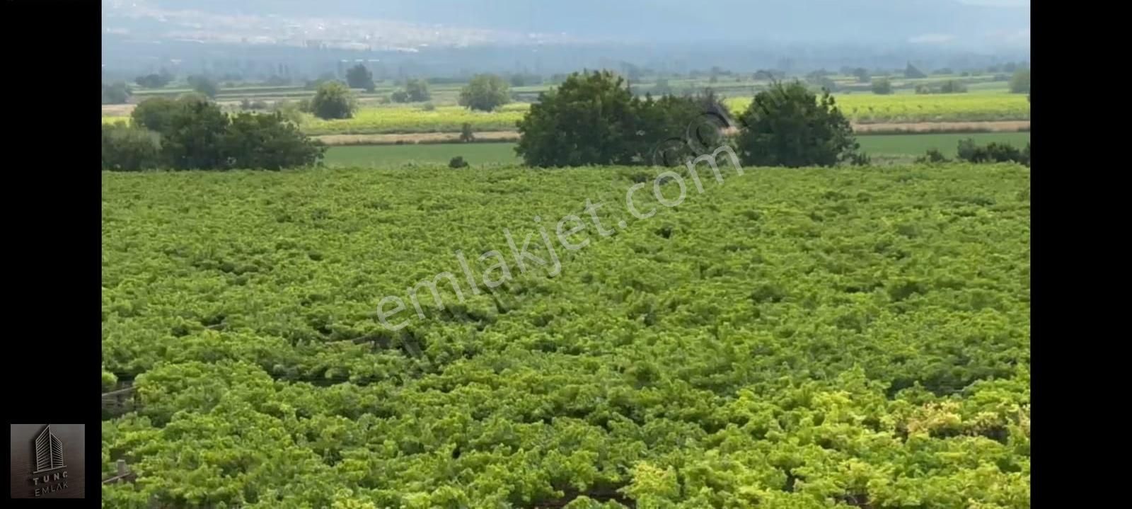 Kocabaş Da Evi Suyu Sondajı Herşeyi Mevcut 3000 Bağ Ve Ağaçlar - Görsel 15