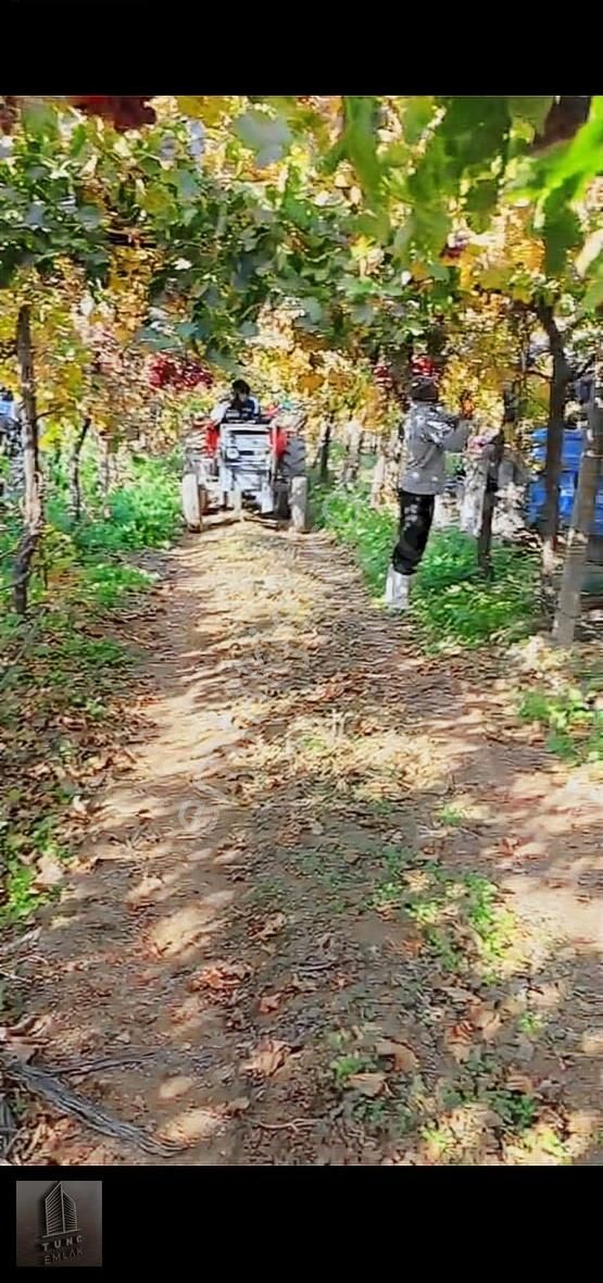 Kocabaş Da Evi Suyu Sondajı Herşeyi Mevcut 3000 Bağ Ve Ağaçlar - Görsel 9