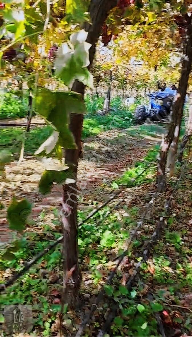 Kocabaş Da Evi Suyu Sondajı Herşeyi Mevcut 3000 Bağ Ve Ağaçlar - Görsel 4