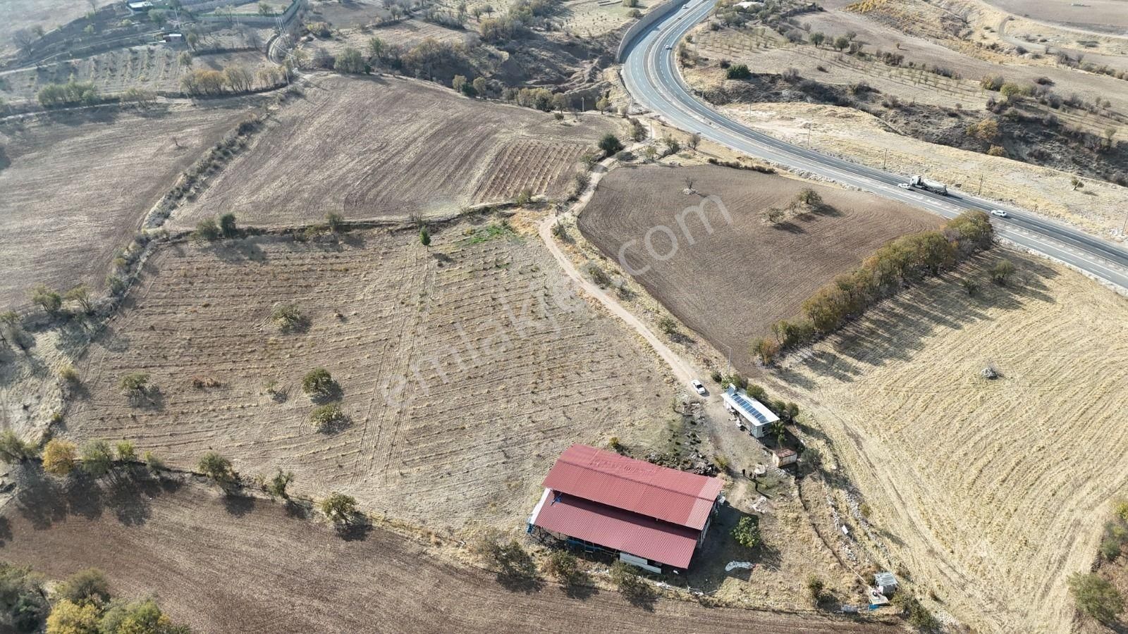 Hakev'den Ruhsatlı Çiftlik Satılıktır - Görsel 2