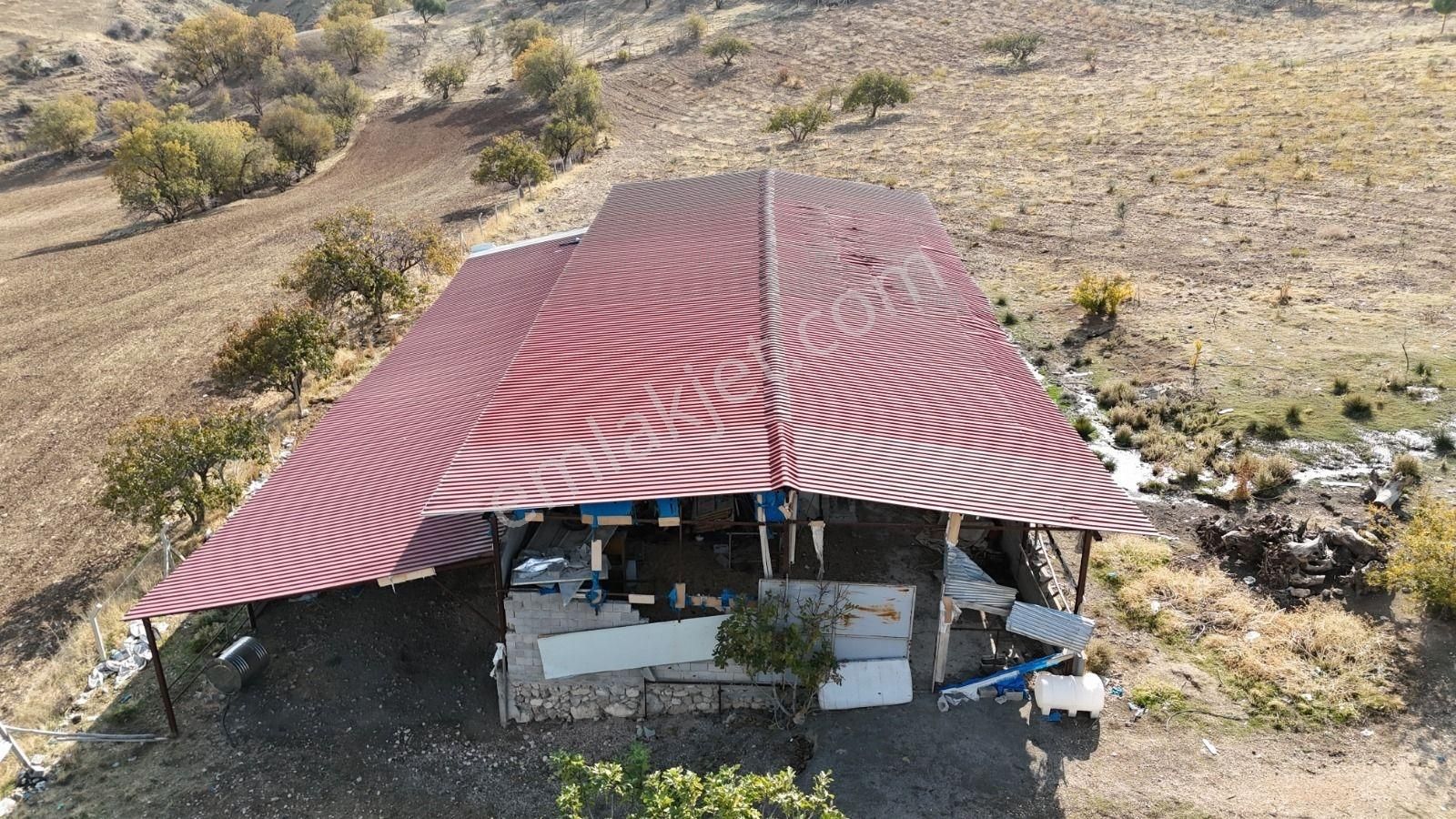 Hakev'den Ruhsatlı Çiftlik Satılıktır - Görsel 9