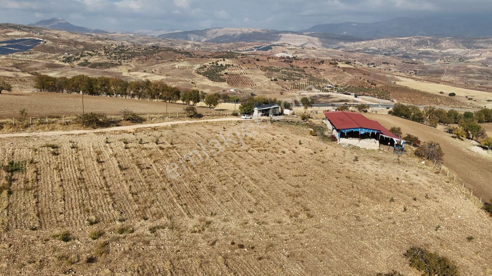 Hakev'den Ruhsatlı Çiftlik Satılıktır - Görsel 7