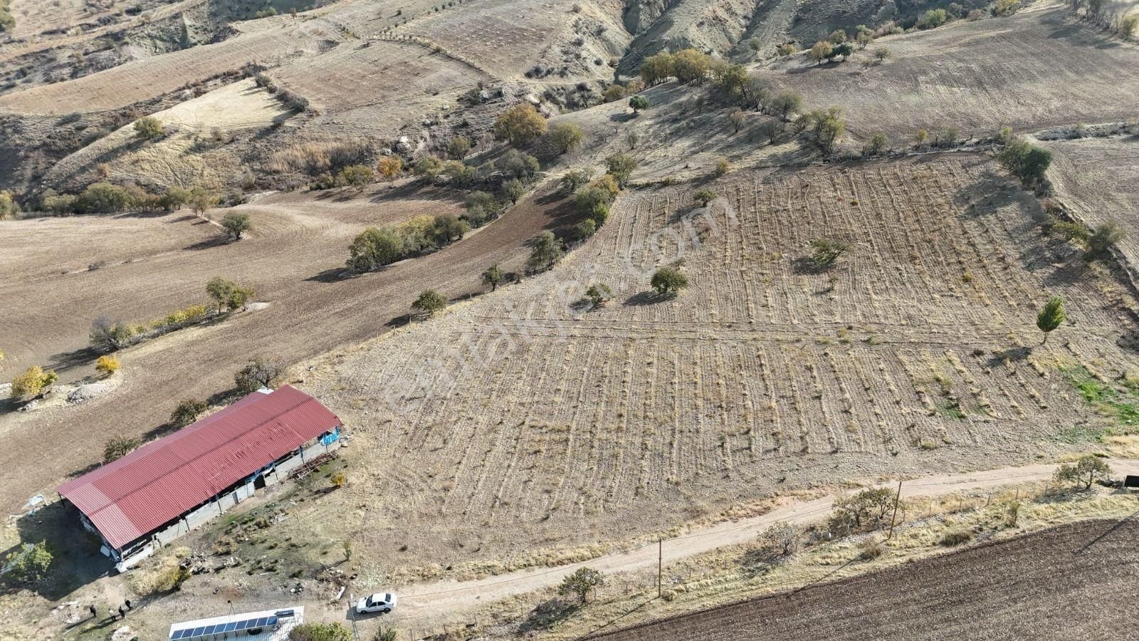 Hakev'den Ruhsatlı Çiftlik Satılıktır - Görsel 19