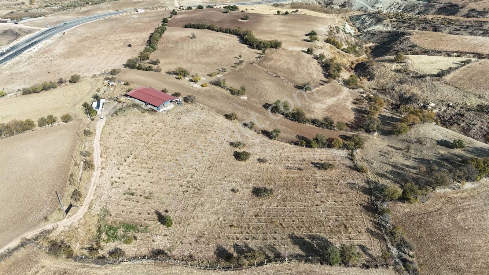 Hakev'den Ruhsatlı Çiftlik Satılıktır - Görsel 11