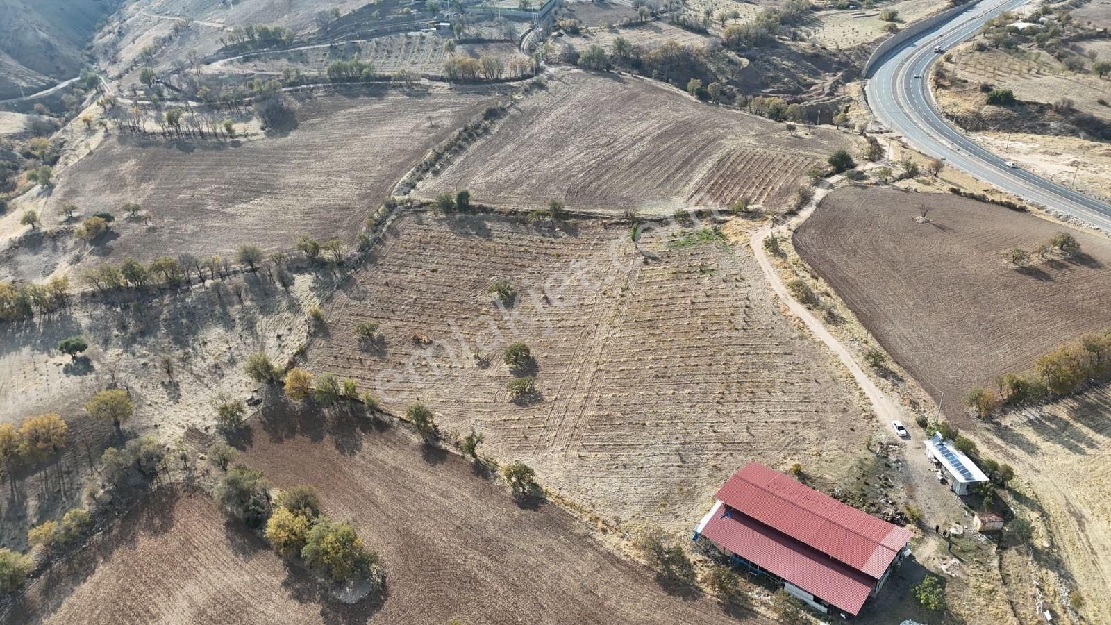 Hakev'den Ruhsatlı Çiftlik Satılıktır - Görsel 4