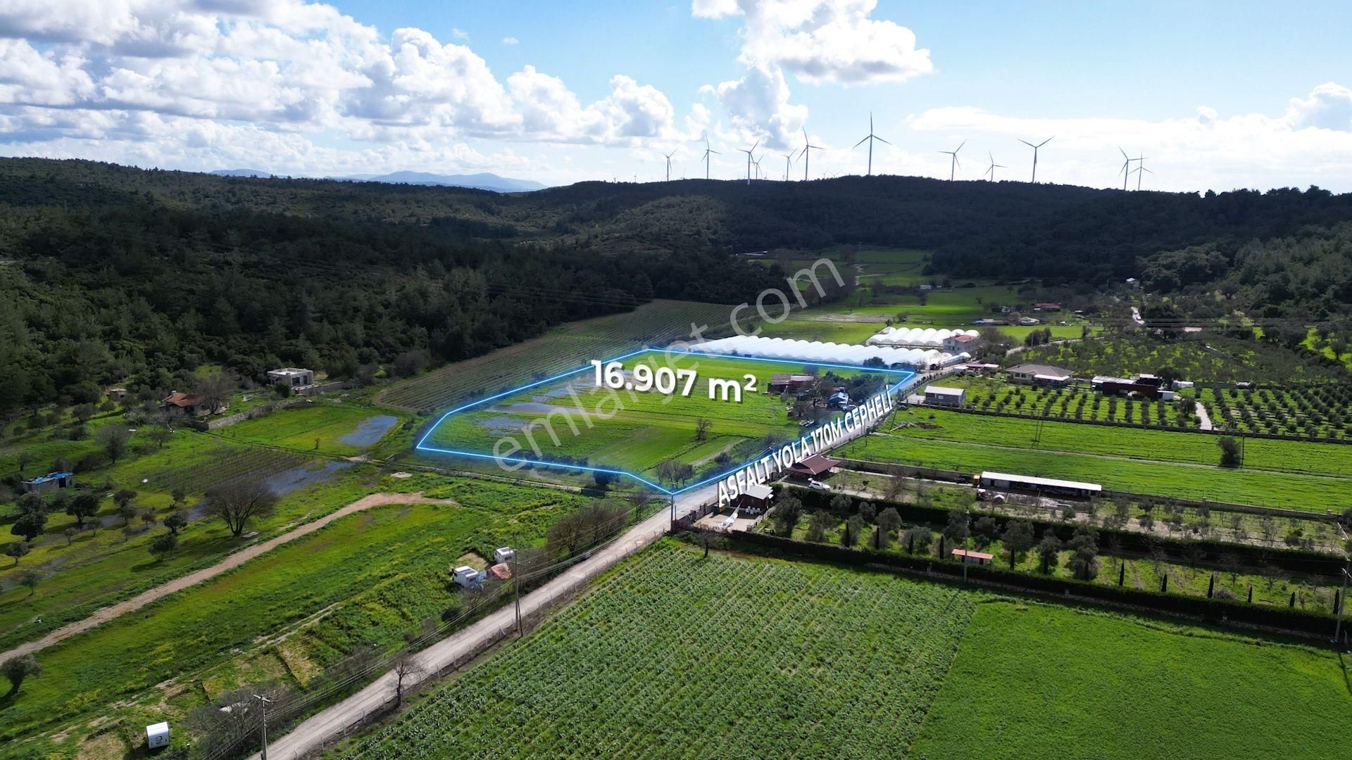 Urla Kuşçular'da Satılık 16.907,37 M2 Arazi - Görsel 5