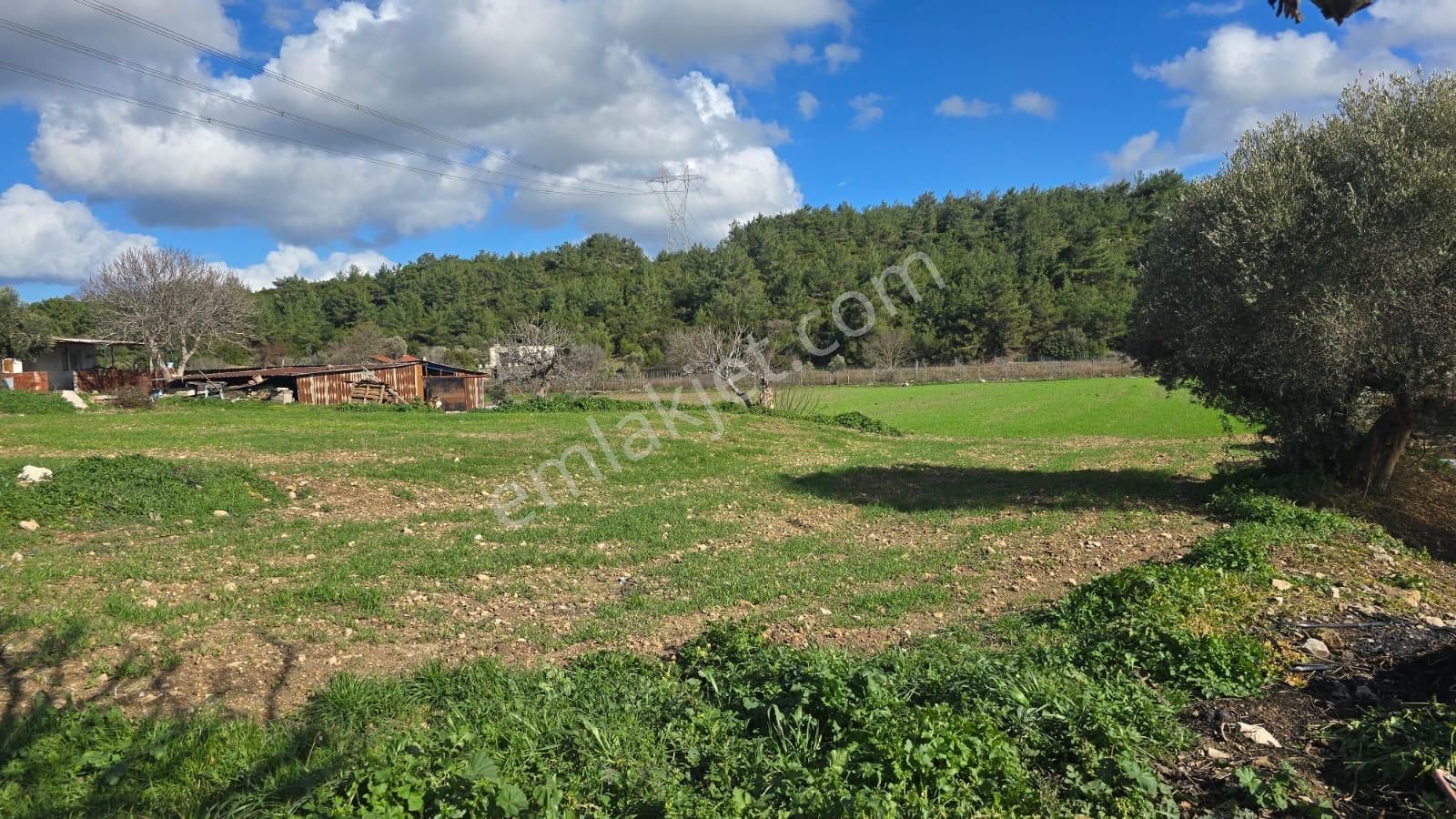 Urla Kuşçular'da Satılık 16.907,37 M2 Arazi - Görsel 9