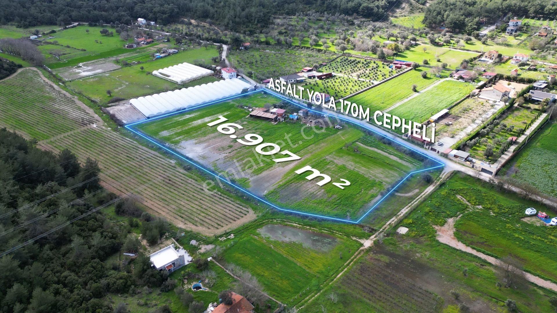 Urla Kuşçular'da Satılık 16.907,37 M2 Arazi - Görsel 4