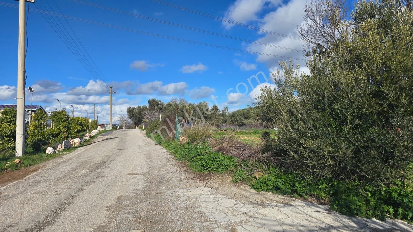 Urla Kuşçular'da Satılık 16.907,37 M2 Arazi - Görsel 7