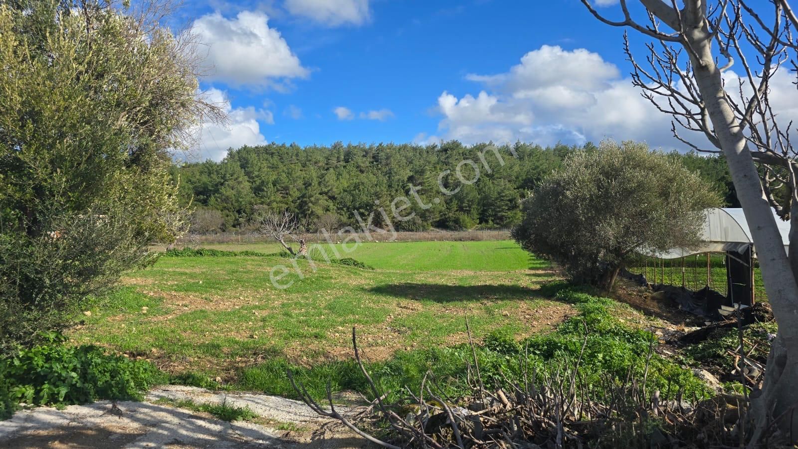 Urla Kuşçular'da Satılık 16.907,37 M2 Arazi - Görsel 8