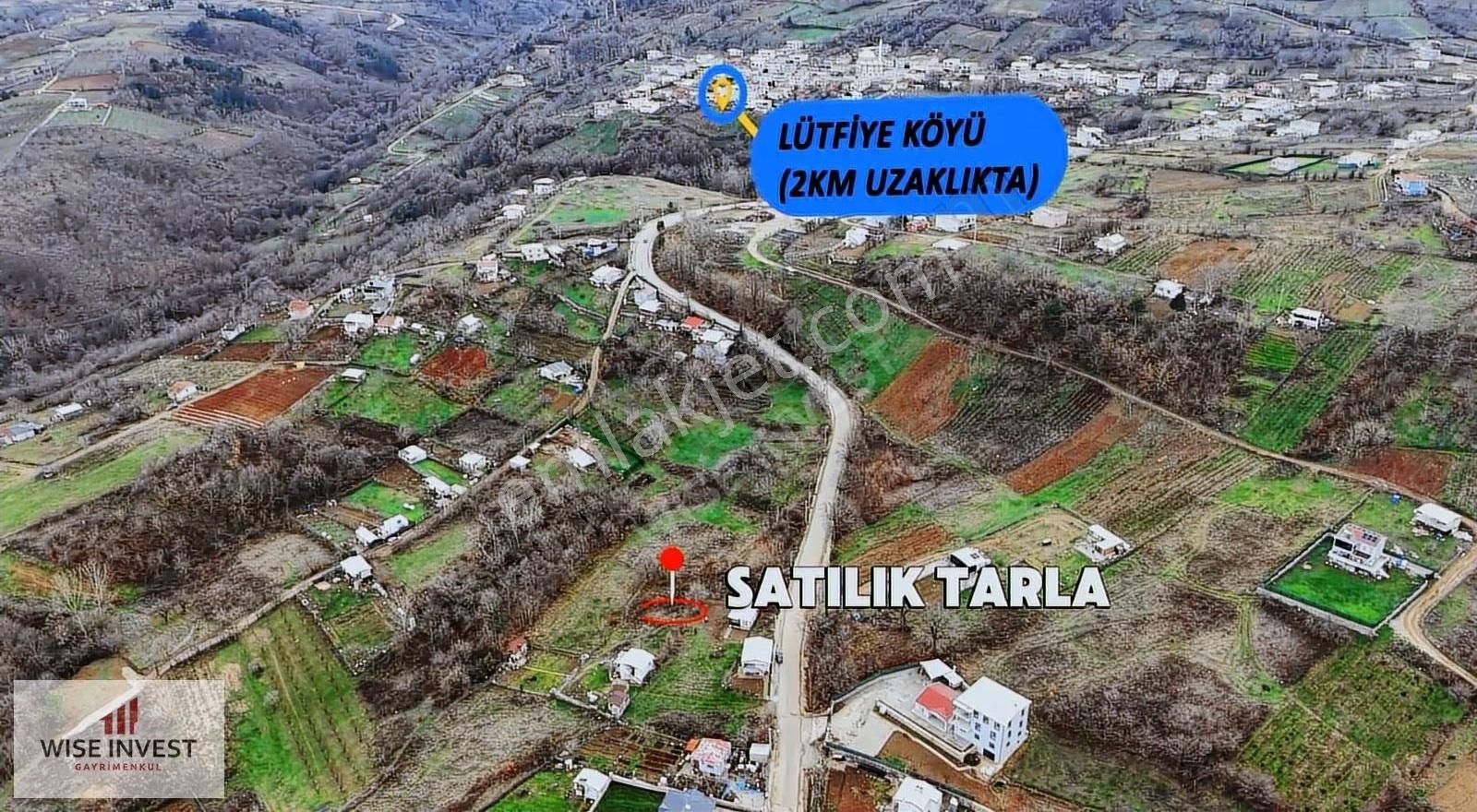 Kestel Lütfiye Köyünde Hobi Bahçesine Uygun Tarla - Görsel 3