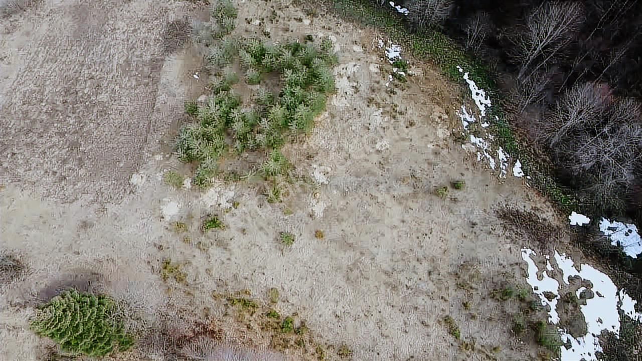 60-şeker Emlak Hendek Dikmen Yayla Mah.satılık Fırsat Arsa - Görsel 8