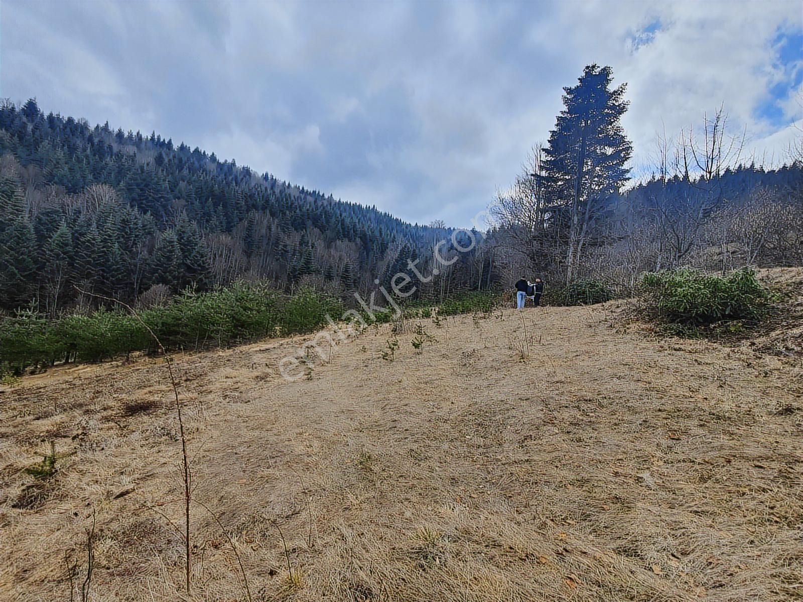 60-şeker Emlak Hendek Dikmen Yayla Mah.satılık Fırsat Arsa - Görsel 25