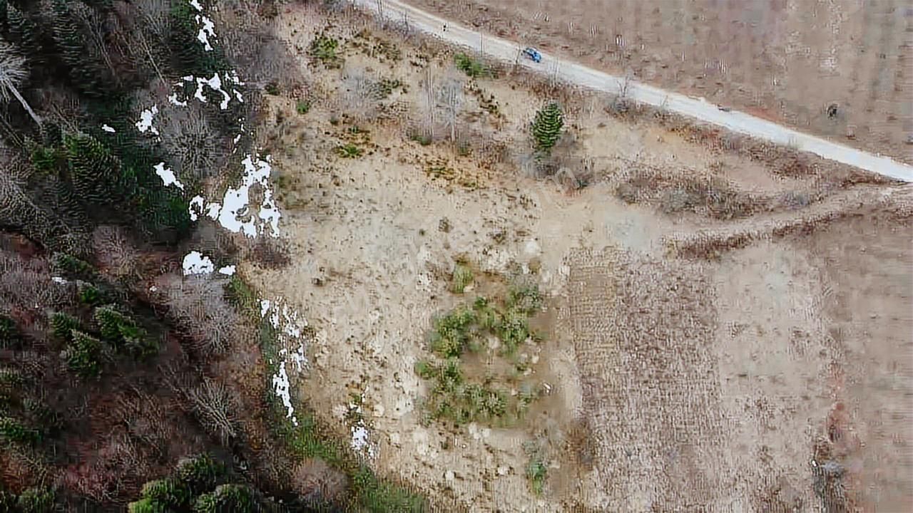 60-şeker Emlak Hendek Dikmen Yayla Mah.satılık Fırsat Arsa - Görsel 12