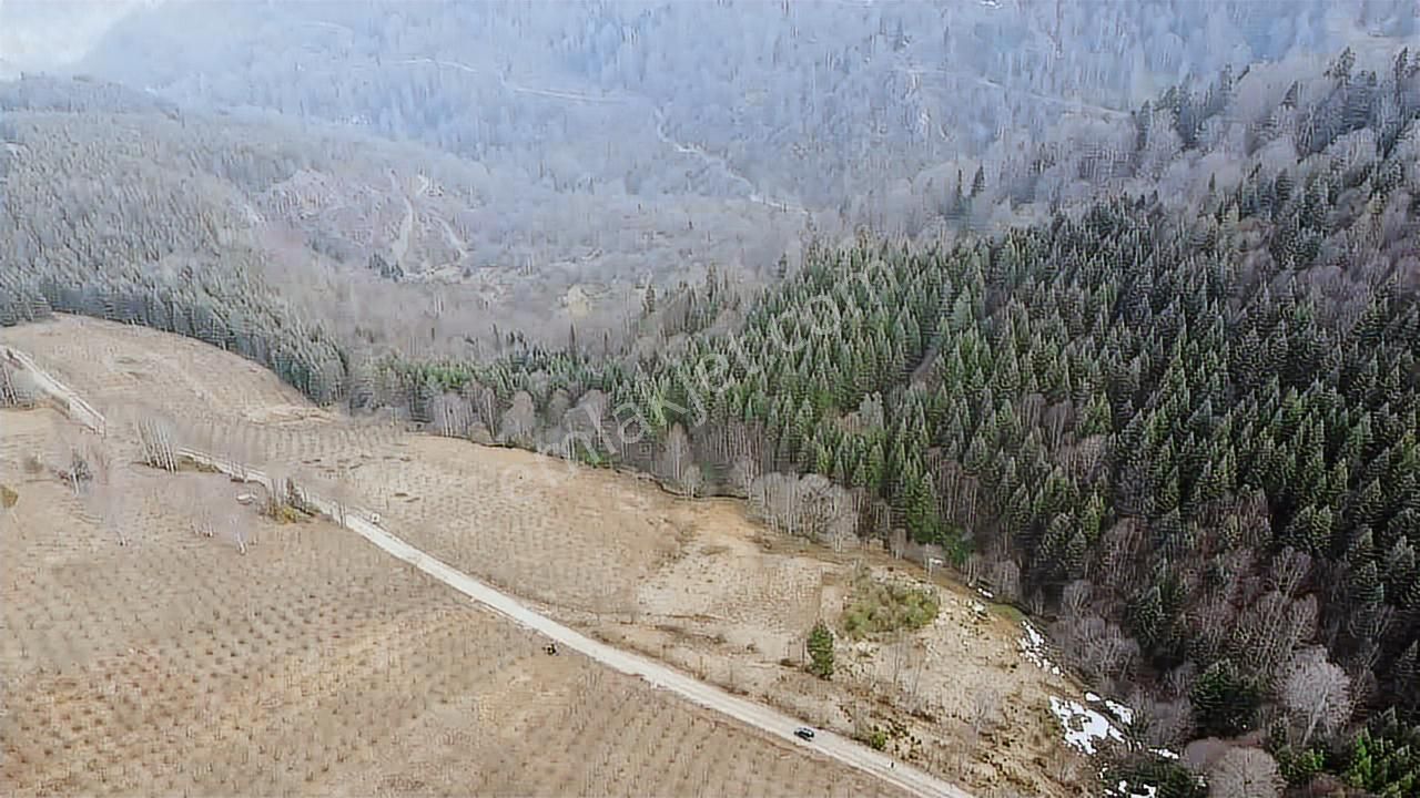 60-şeker Emlak Hendek Dikmen Yayla Mah.satılık Fırsat Arsa - Görsel 14