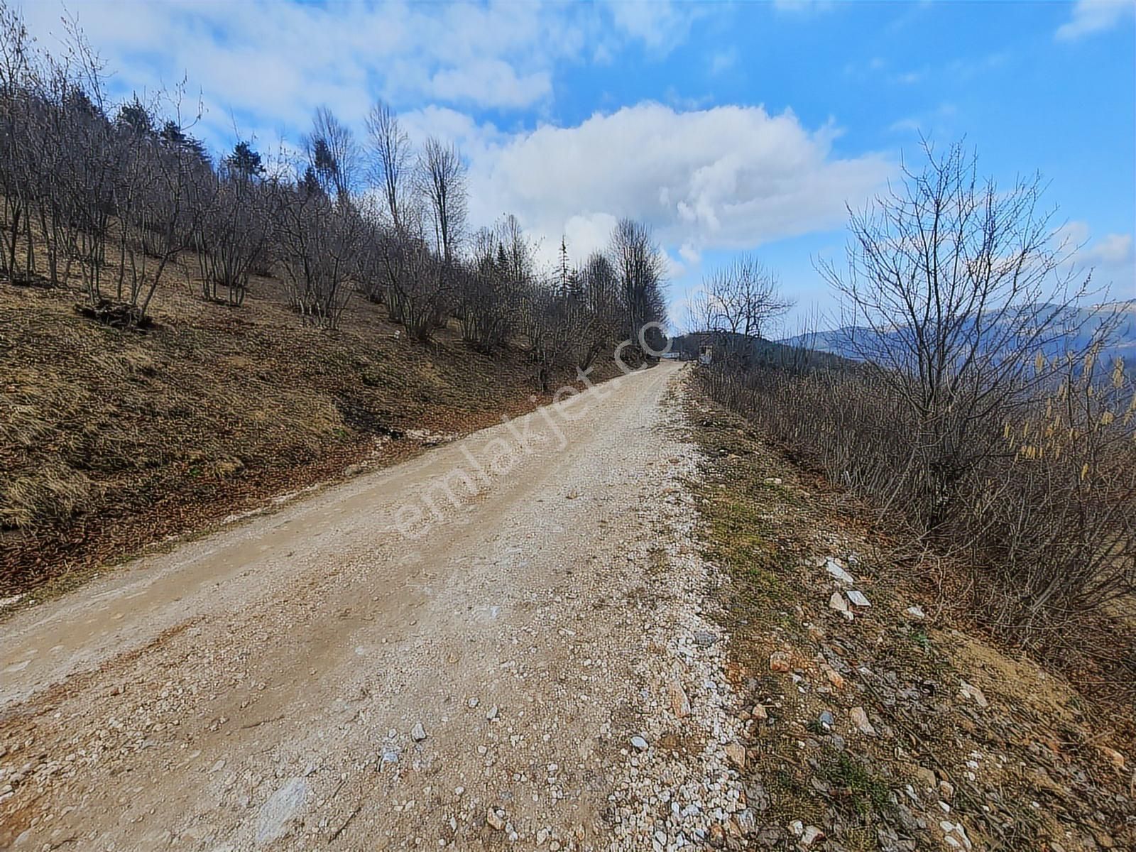60-şeker Emlak Hendek Dikmen Yayla Mah.satılık Fırsat Arsa - Görsel 10