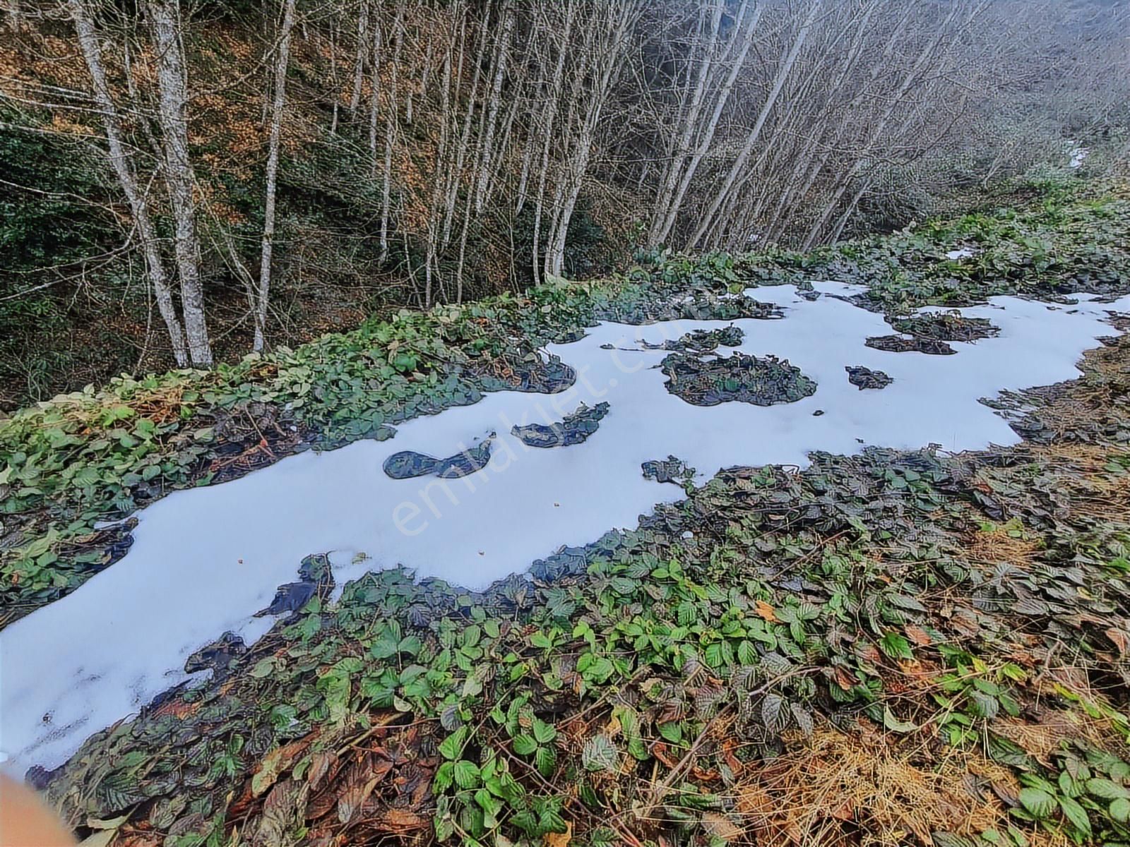 60-şeker Emlak Hendek Dikmen Yayla Mah.satılık Fırsat Arsa - Görsel 19
