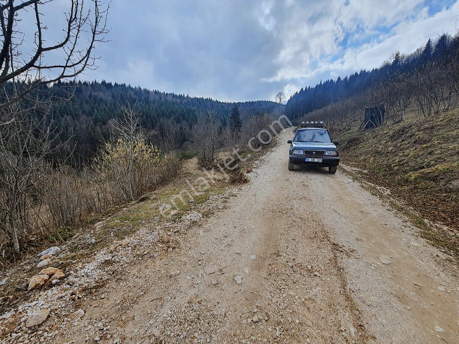 60-şeker Emlak Hendek Dikmen Yayla Mah.satılık Fırsat Arsa - Görsel 18