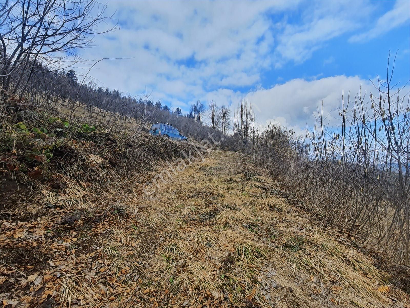 60-şeker Emlak Hendek Dikmen Yayla Mah.satılık Fırsat Arsa - Görsel 26