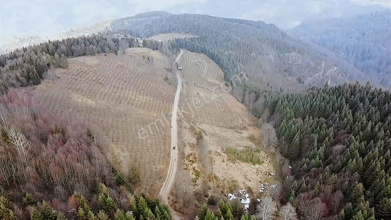 60-şeker Emlak Hendek Dikmen Yayla Mah.satılık Fırsat Arsa - Görsel 21