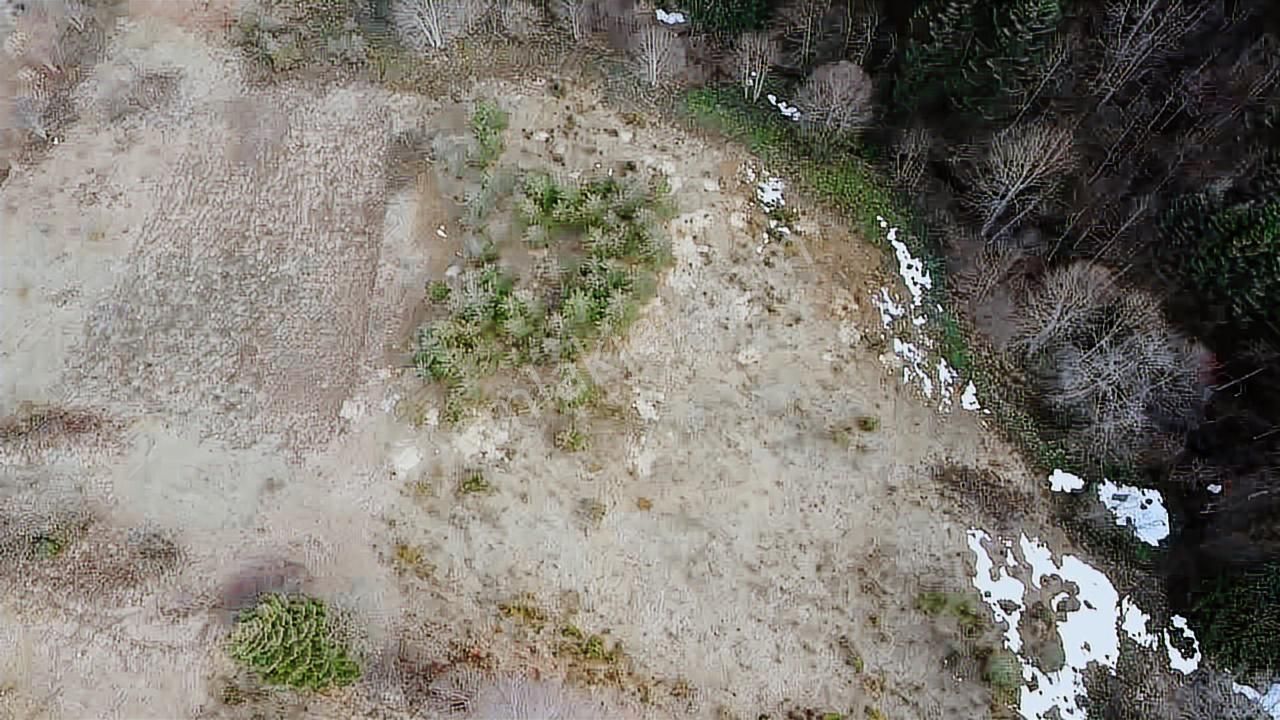 60-şeker Emlak Hendek Dikmen Yayla Mah.satılık Fırsat Arsa - Görsel 32