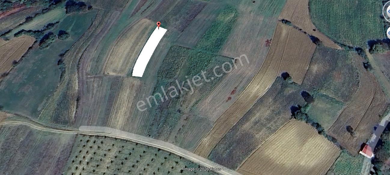 Kandıra Yusufça Da 749 Metre Kare Yatırım Fırsatı Tarla