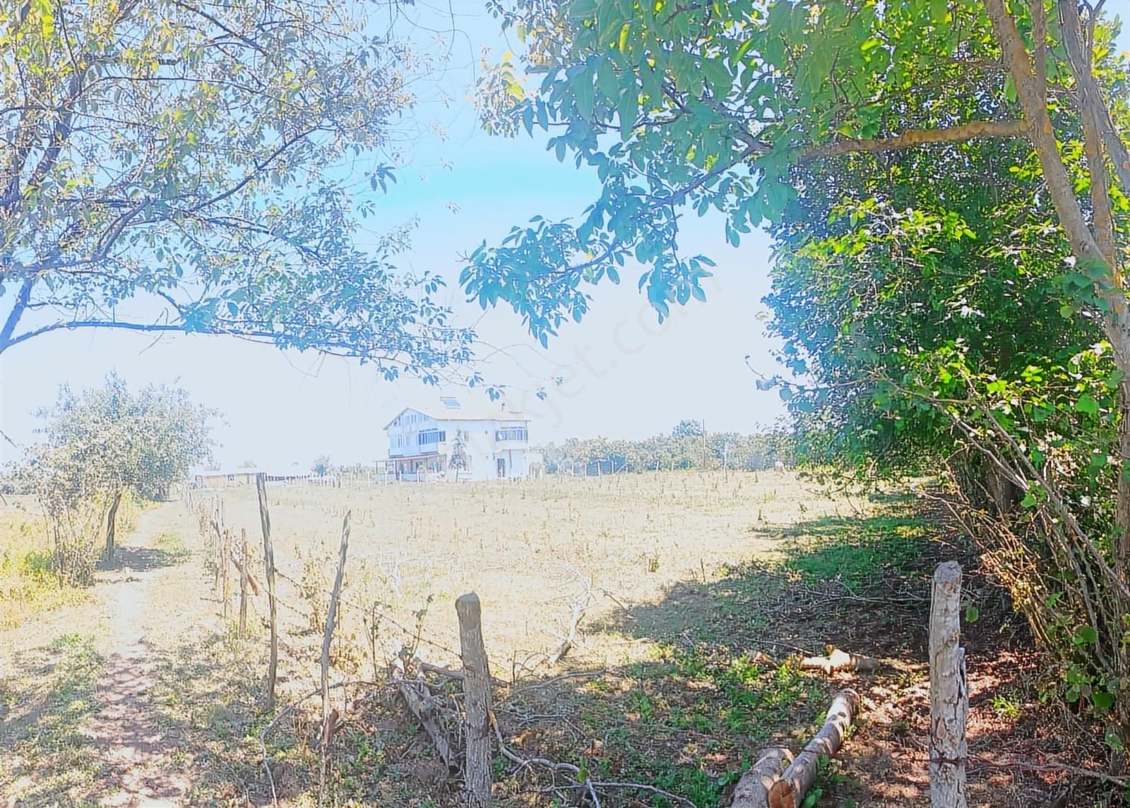 Satılık Çiftlik Ve Çiftlik Evi - Samsun Çarşamba Kızılot - Görsel 15