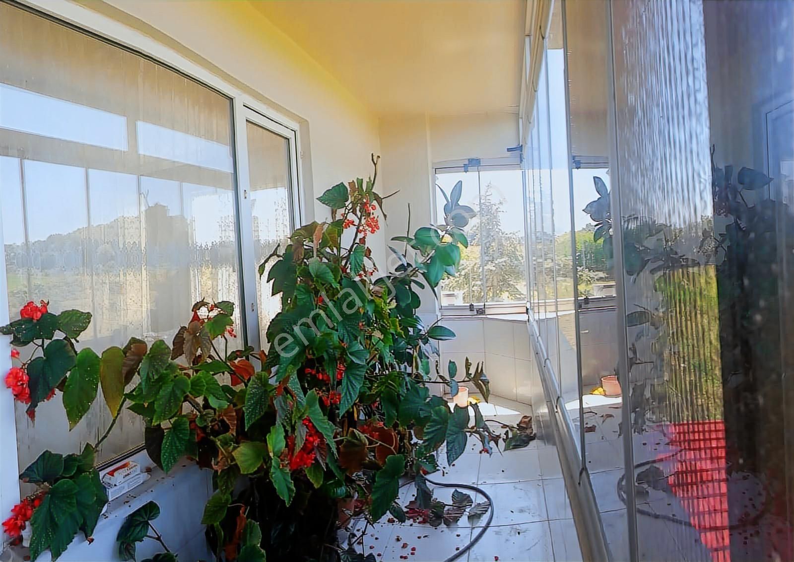 Satılık Çiftlik Ve Çiftlik Evi - Samsun Çarşamba Kızılot - Görsel 29