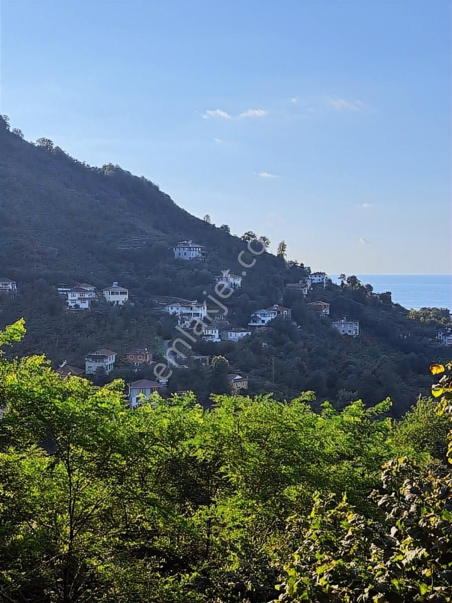 Perşembe Mersin'de Satılık Deniz Manzaralı Bahçe