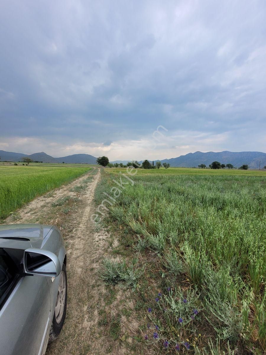 Korkuteli Yakaköy'de Acilsatılık 4600m2 Tarla Elektrik Su İçinde - Görsel 11