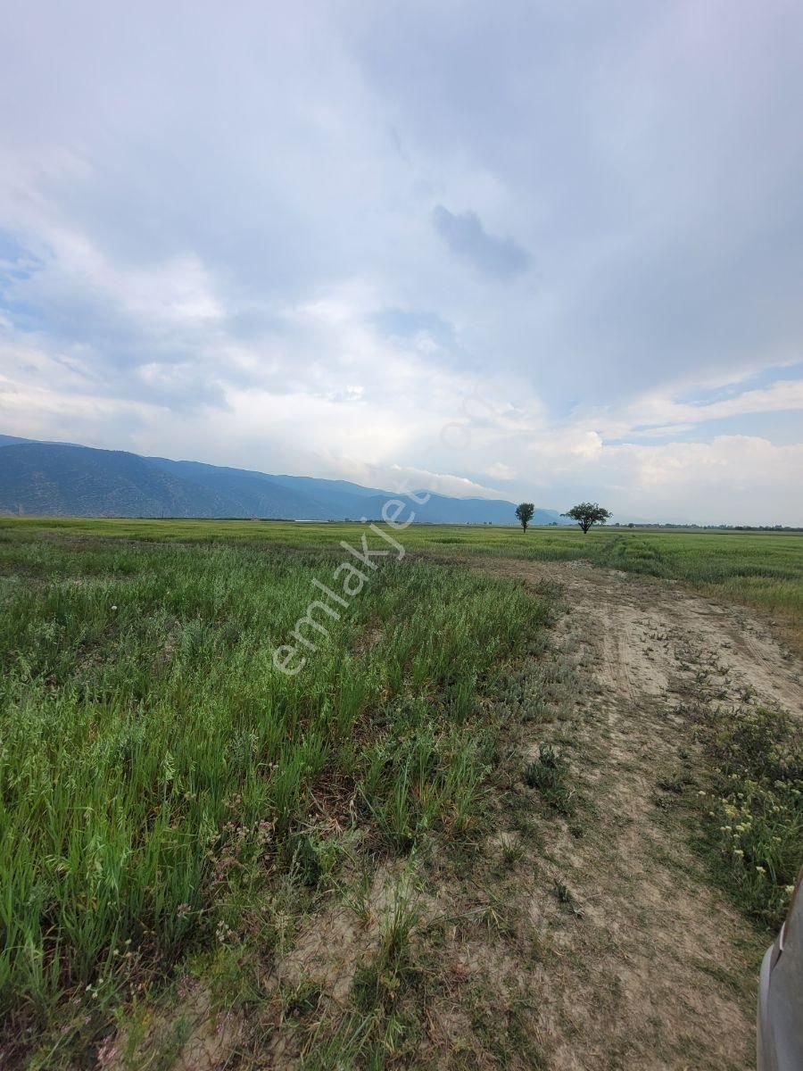 Korkuteli Yakaköy'de Acilsatılık 4600m2 Tarla Elektrik Su İçinde - Görsel 13