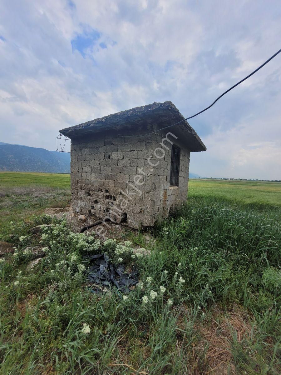 Korkuteli Yakaköy'de Acilsatılık 4600m2 Tarla Elektrik Su İçinde - Görsel 5