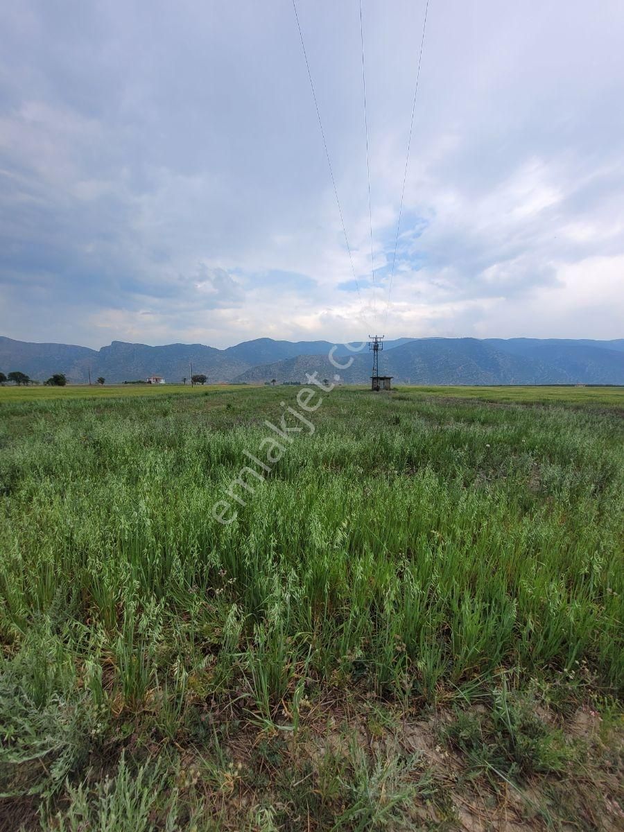 Korkuteli Yakaköy'de Acilsatılık 4600m2 Tarla Elektrik Su İçinde - Görsel 12