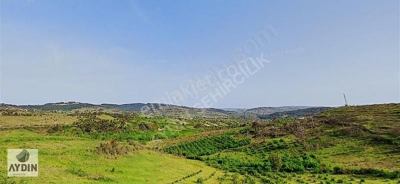 Aydın Satıyordan Kocaeli Kandıra Akçaova Mh Satılık Tarlalar - Görsel 3
