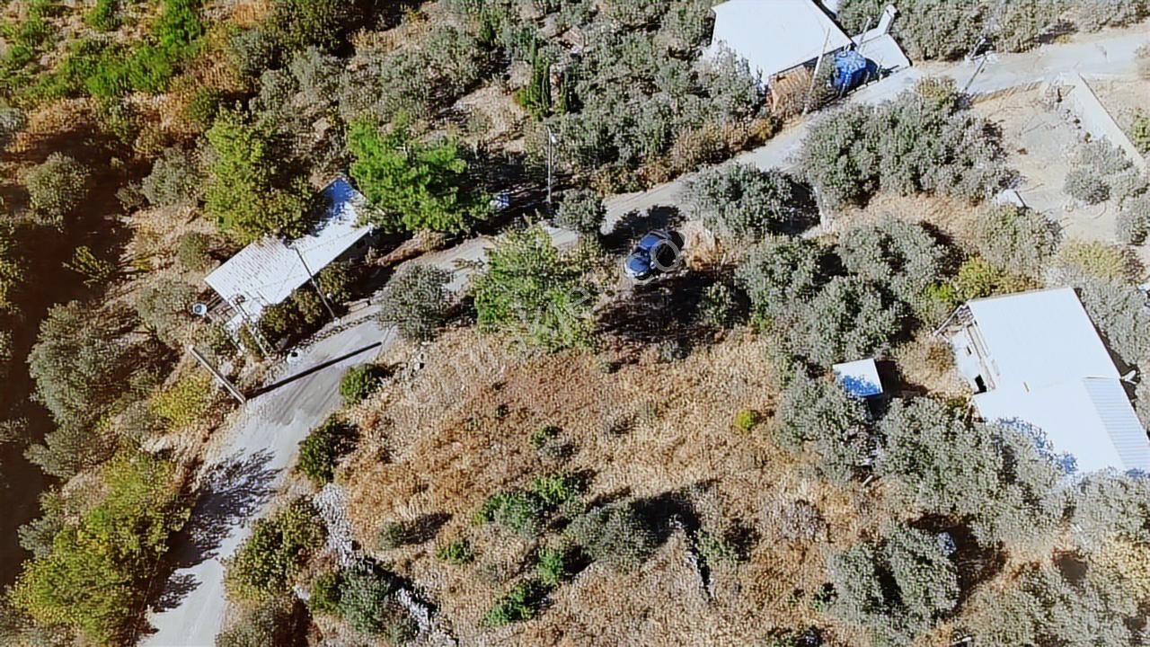 Doğanın Kalbinde Yatırım Fırsatı! - Görsel 6