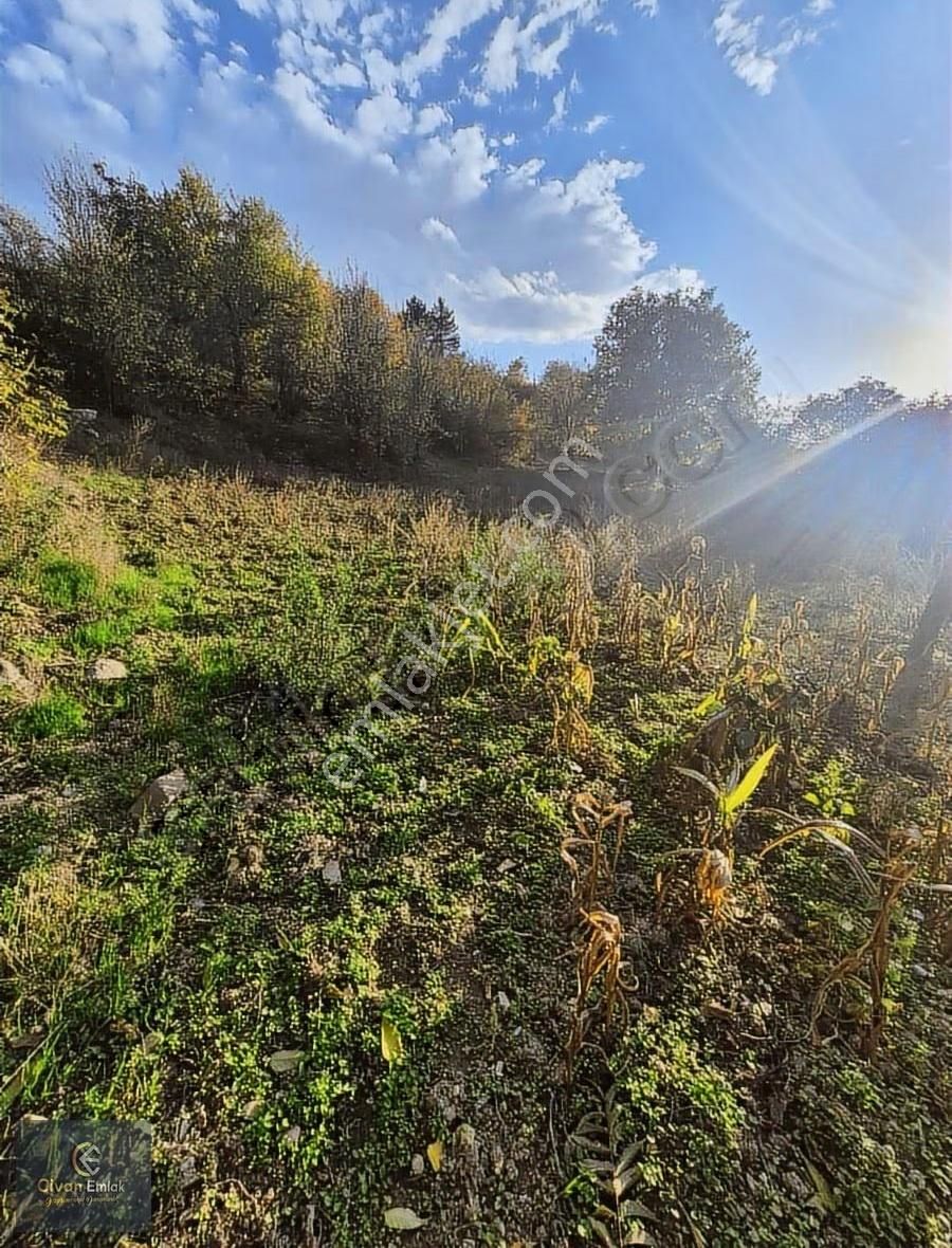 Civan Emlaktan Havza Yukarı Yavucuk Mahallesinde Satılık Bahçe - Görsel 3