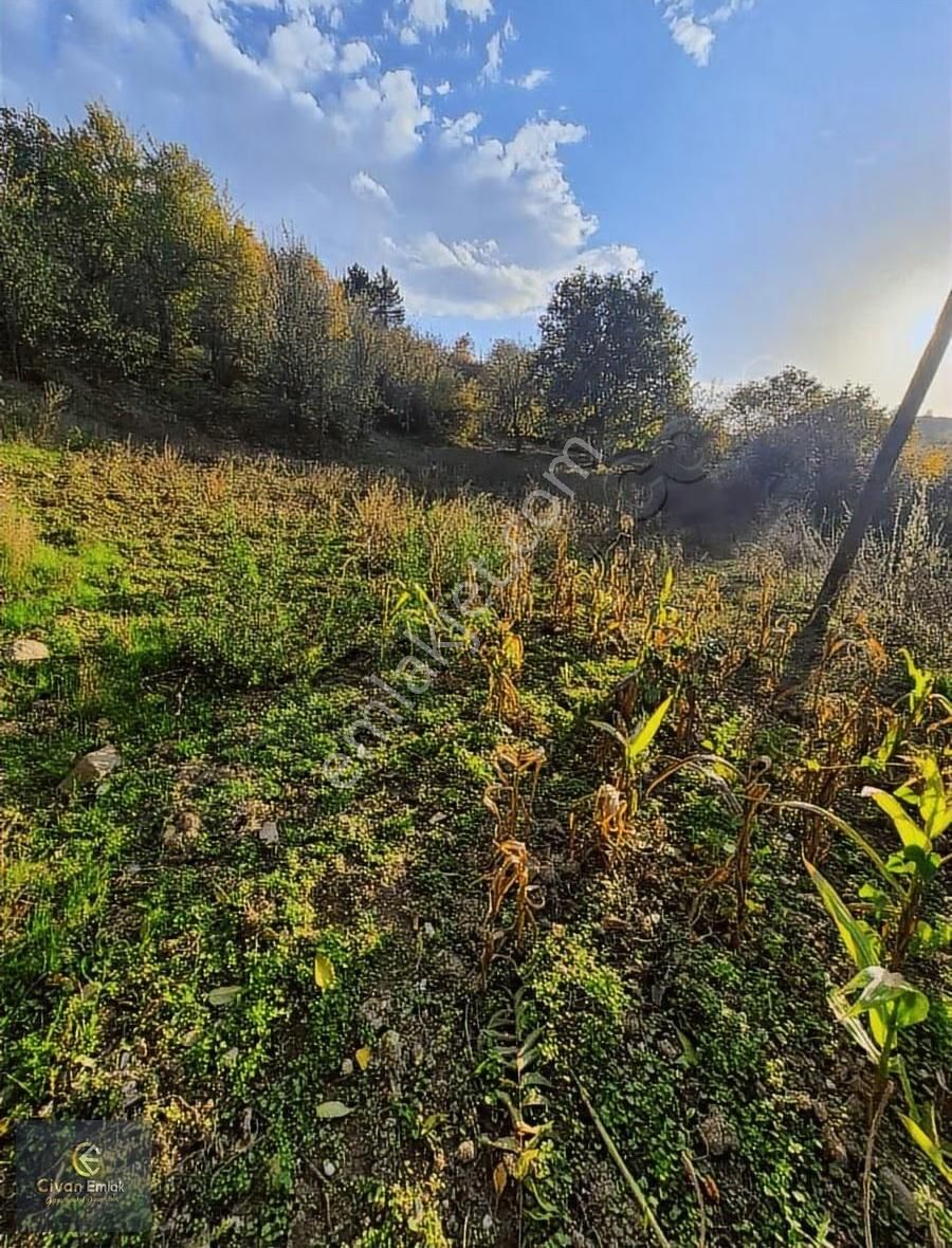 Civan Emlaktan Havza Yukarı Yavucuk Mahallesinde Satılık Bahçe - Görsel 10