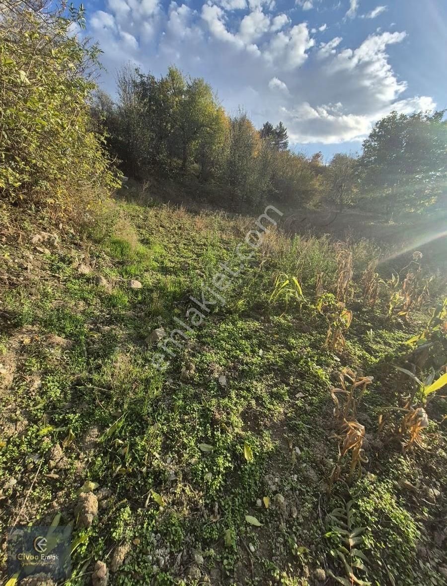 Civan Emlaktan Havza Yukarı Yavucuk Mahallesinde Satılık Bahçe - Görsel 4
