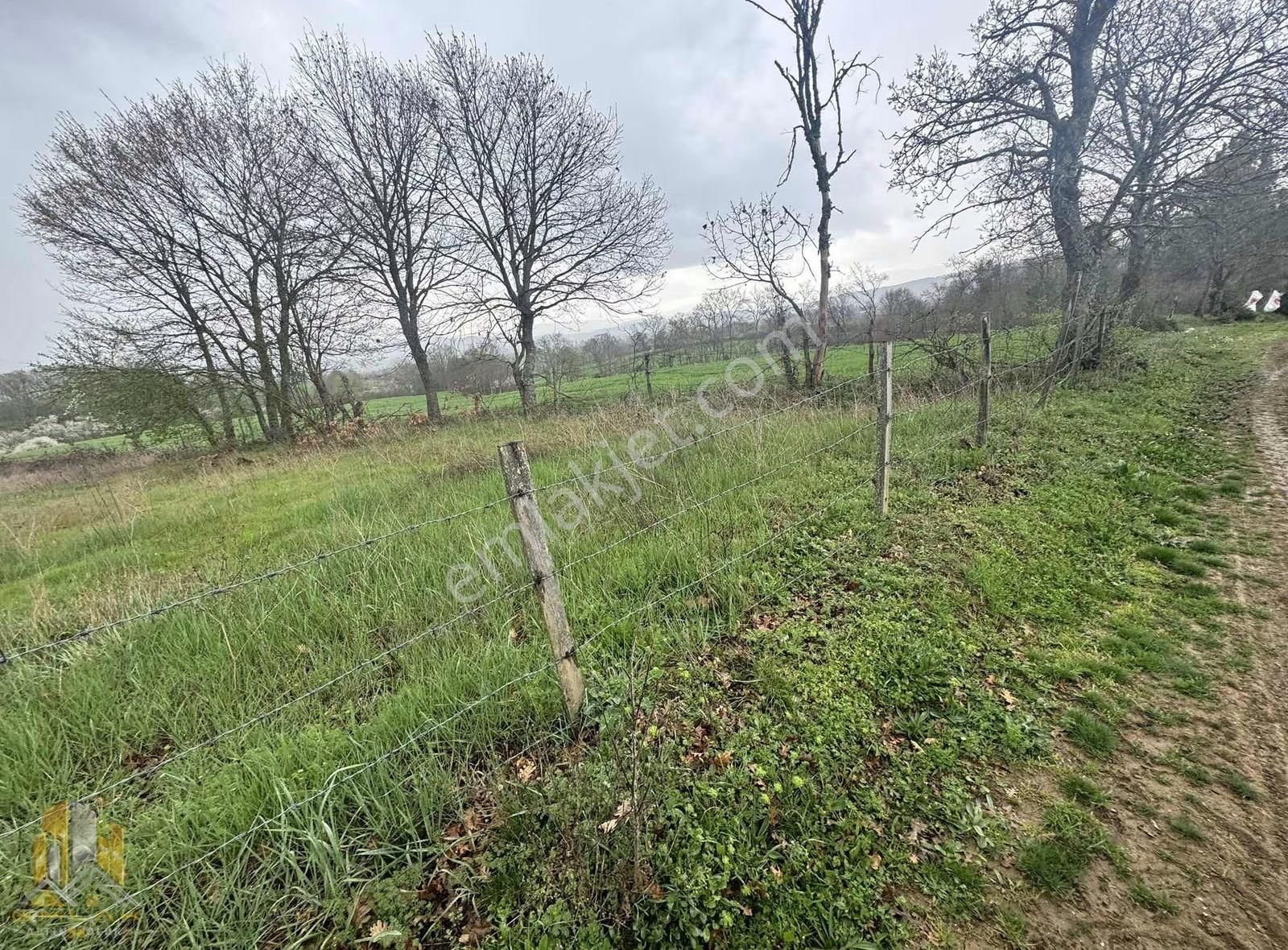 Yenice Bekten Köyünde Kadastro Yola Cepheli 4800m2 Düz Tarla - Görsel 2