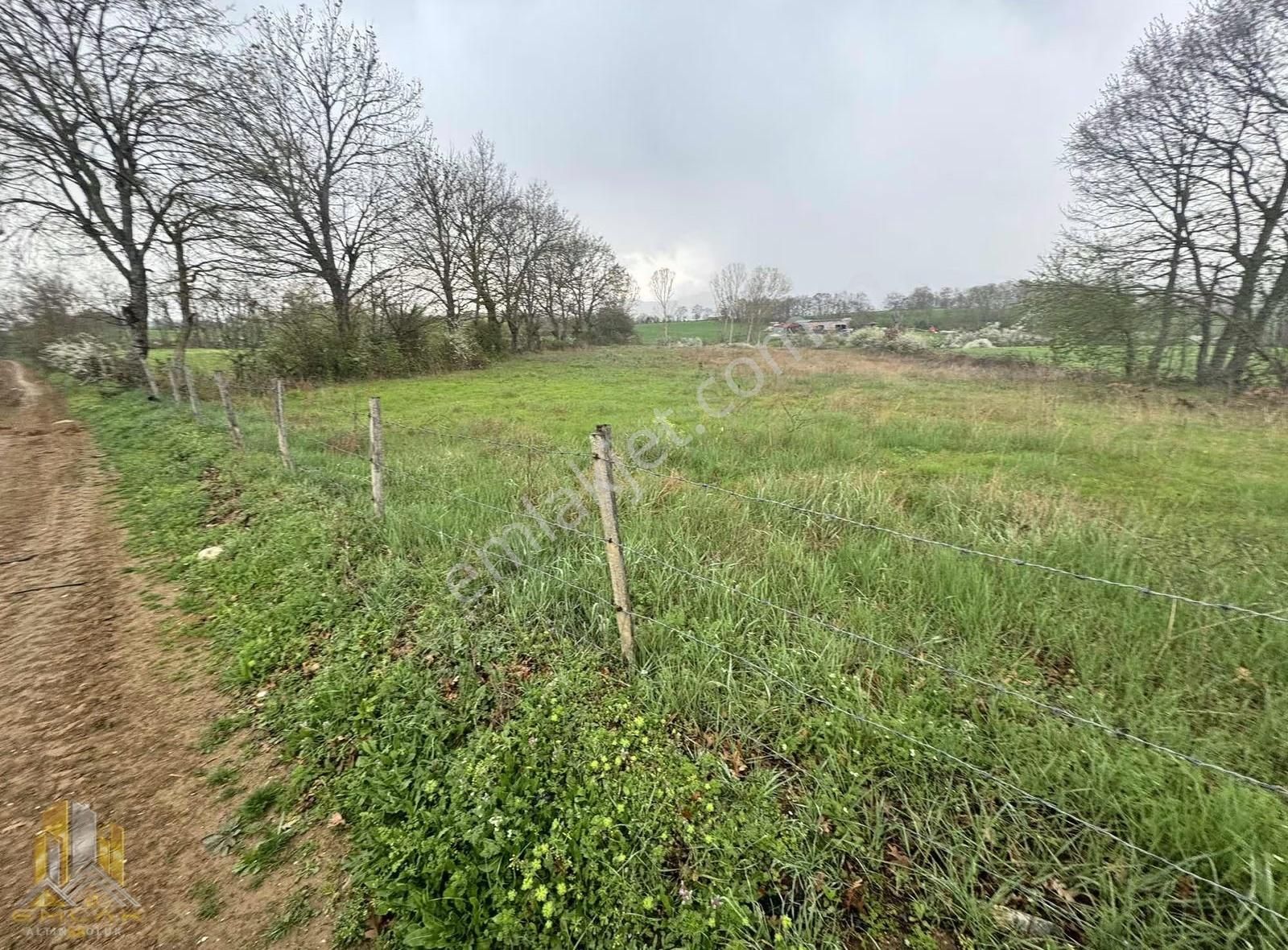 Yenice Bekten Köyünde Kadastro Yola Cepheli 4800m2 Düz Tarla