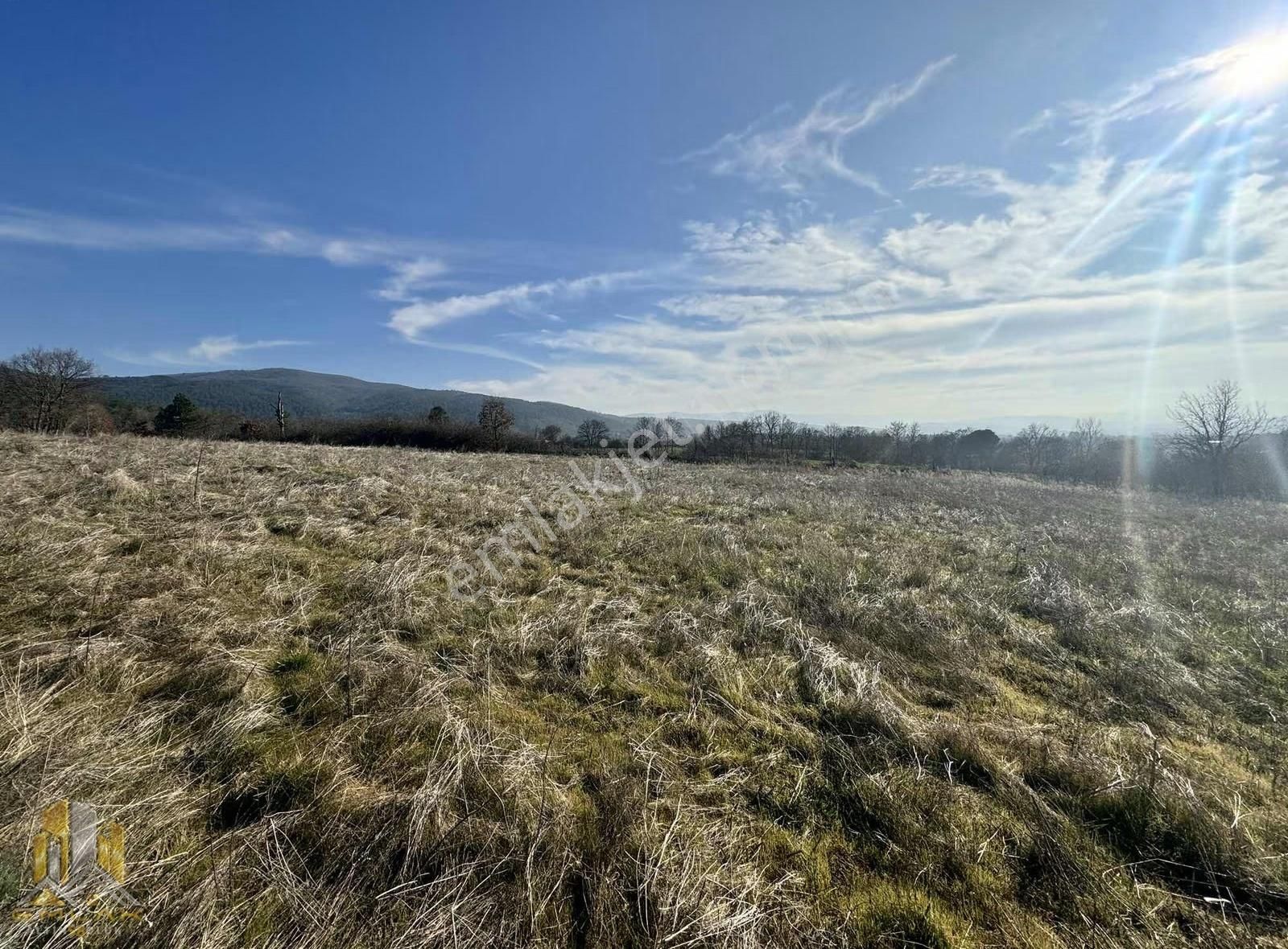 Yenice Bekten Köyünde Kadastro Yola Cepheli 4800m2 Düz Tarla - Görsel 3