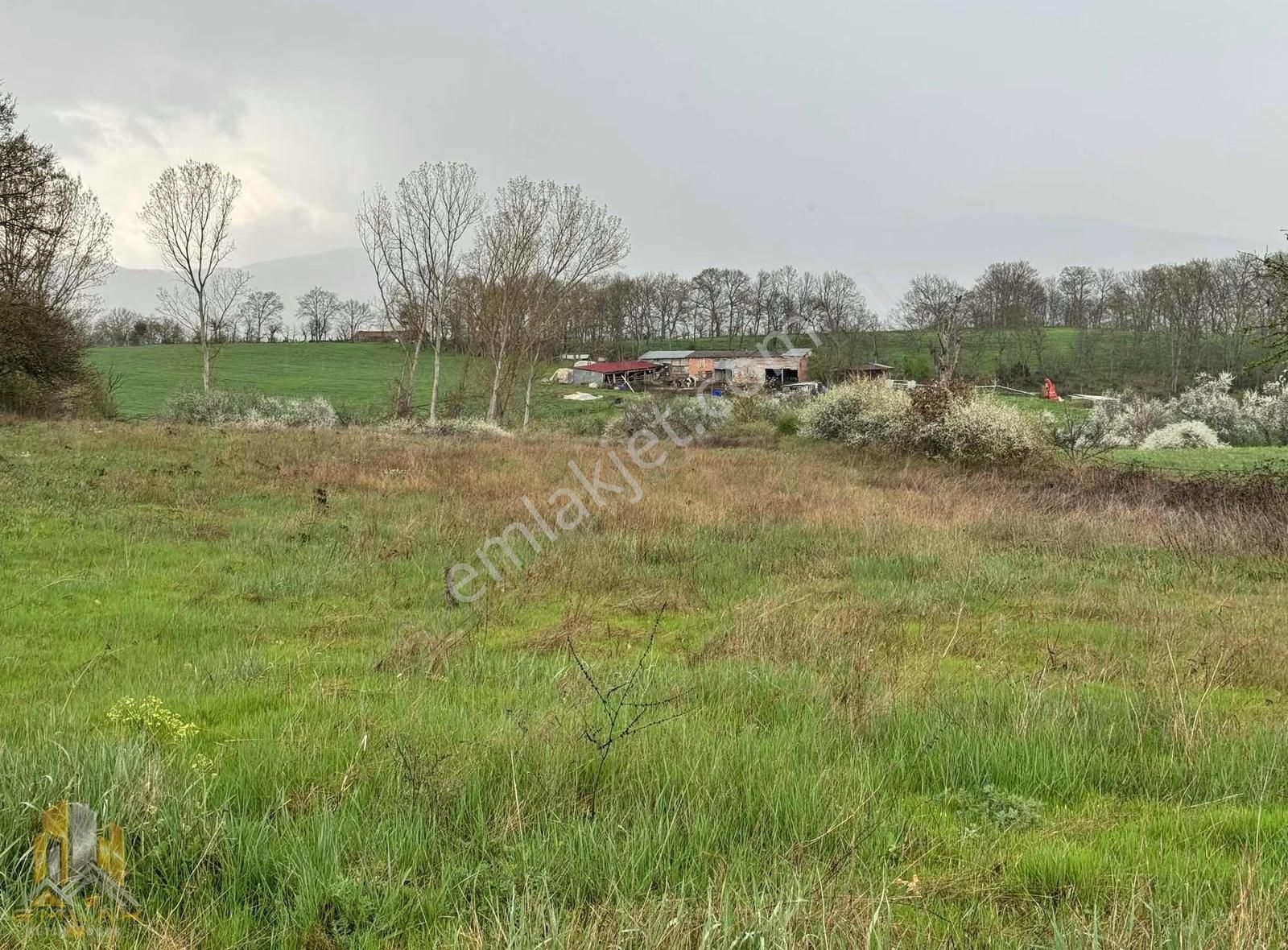 Yenice Bekten Köyünde Kadastro Yola Cepheli 4800m2 Düz Tarla - Görsel 7