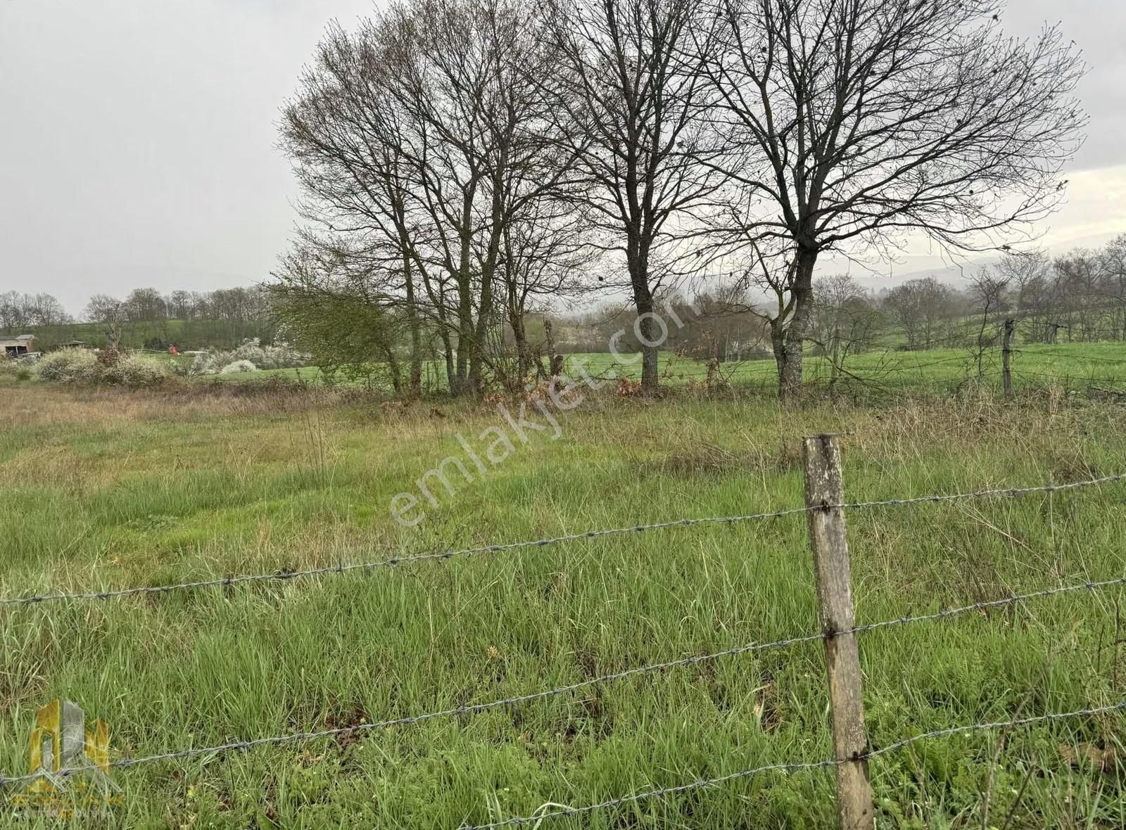 Yenice Bekten Köyünde Kadastro Yola Cepheli 4800m2 Düz Tarla - Görsel 12