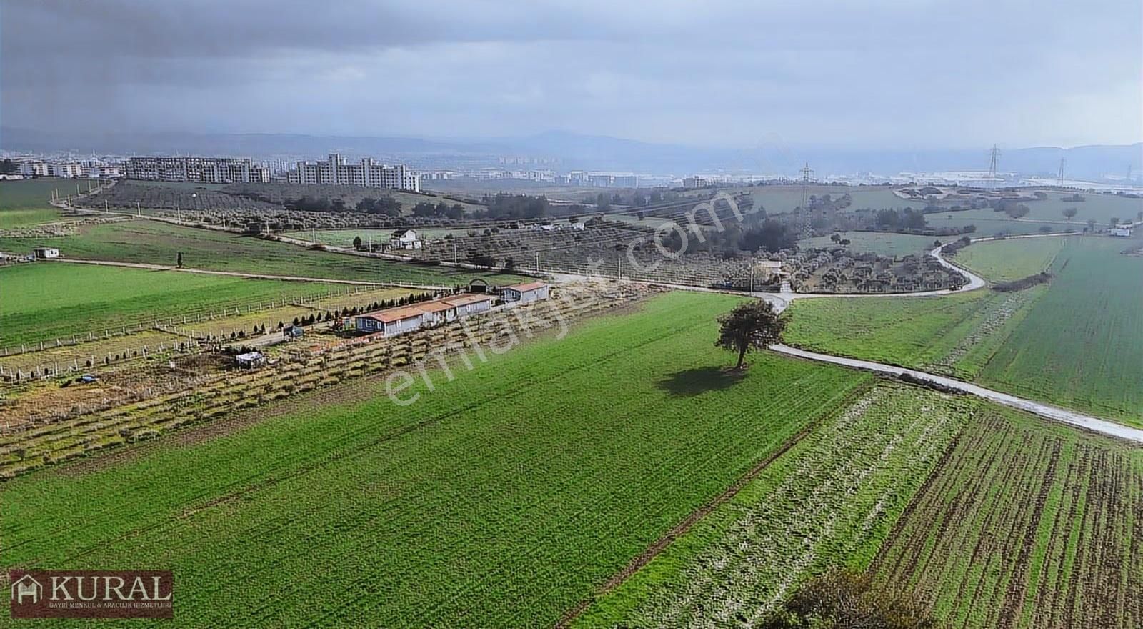 İzmir Torbalı Türkmende12,5 Dönüm 2+1evi Cevizbahçesi Elektriksu - Görsel 6