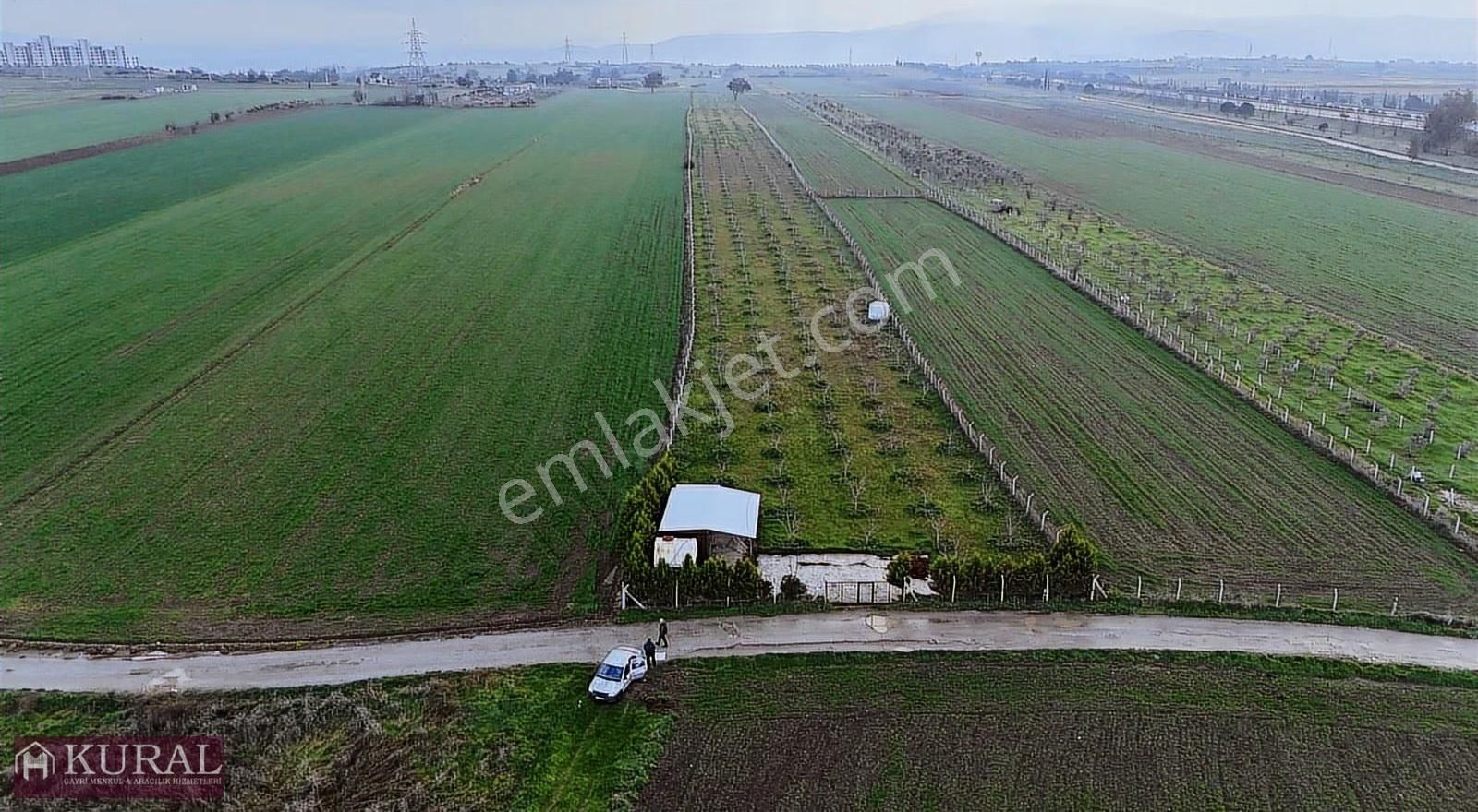 İzmir Torbalı Türkmende12,5 Dönüm 2+1evi Cevizbahçesi Elektriksu - Görsel 29