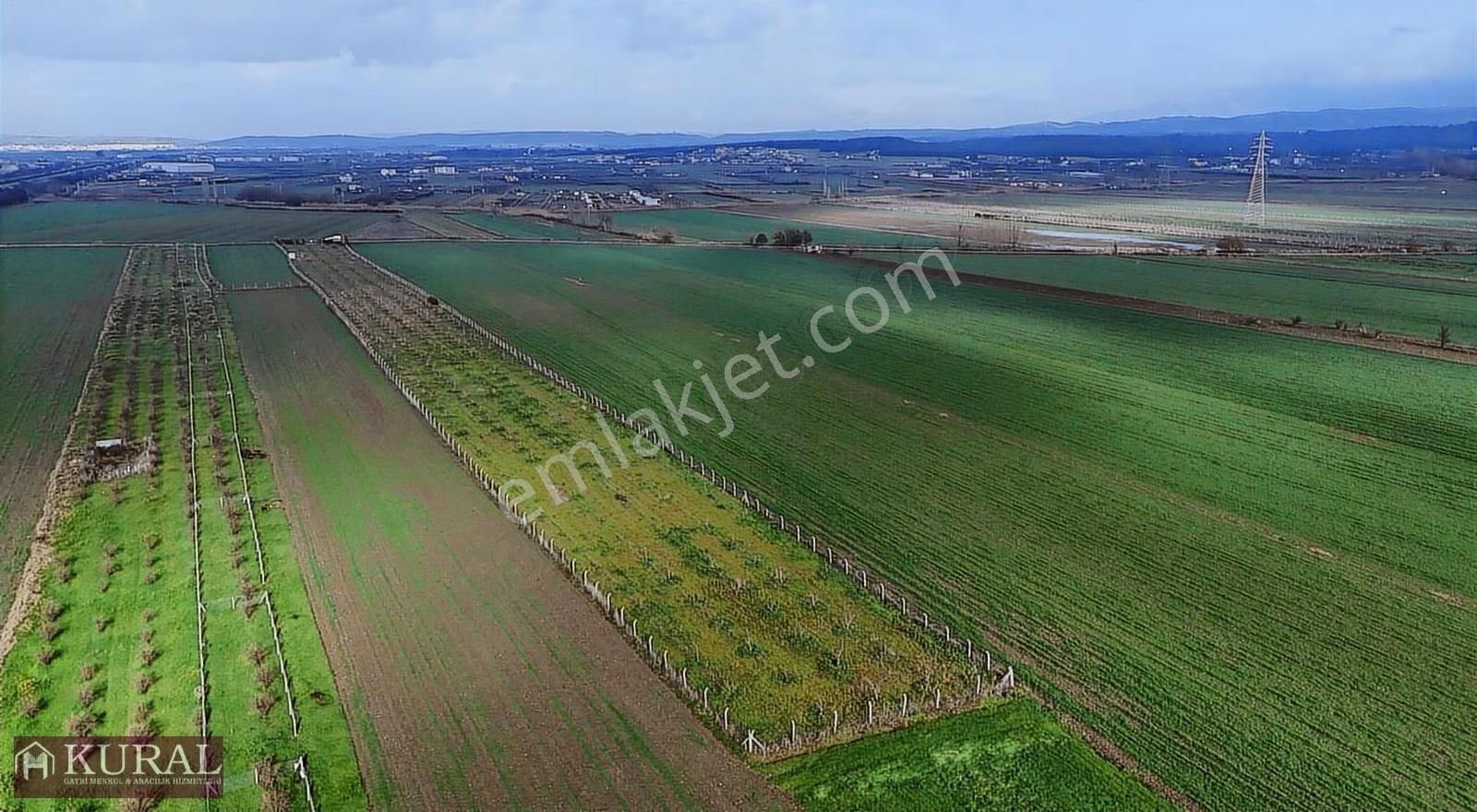 İzmir Torbalı Türkmende12,5 Dönüm 2+1evi Cevizbahçesi Elektriksu - Görsel 34