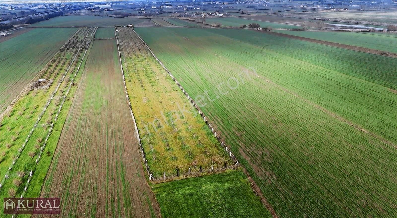 İzmir Torbalı Türkmende12,5 Dönüm 2+1evi Cevizbahçesi Elektriksu - Görsel 19