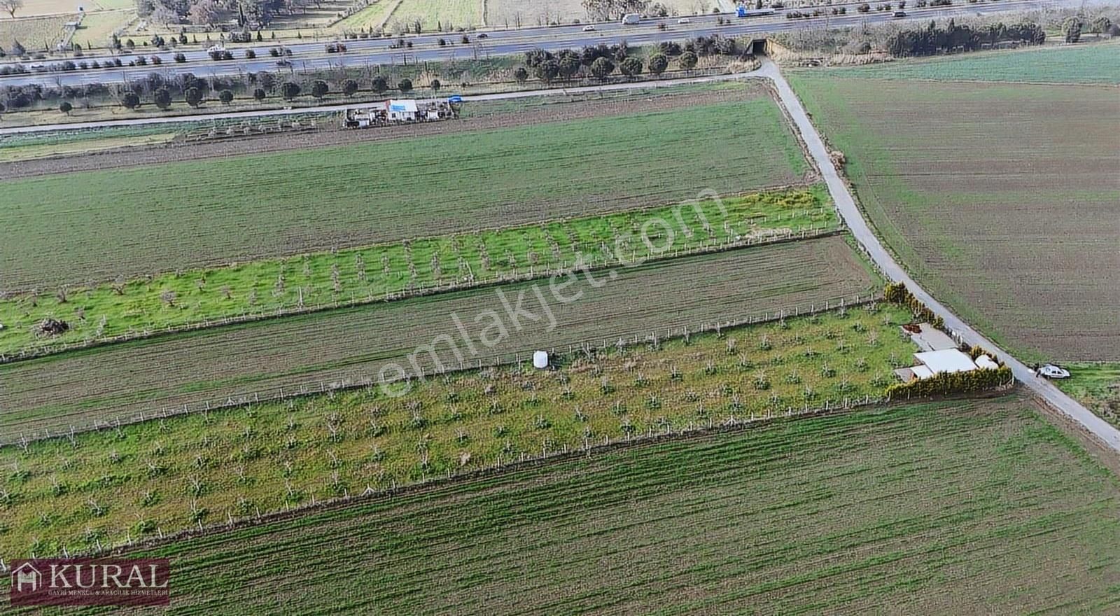 İzmir Torbalı Türkmende12,5 Dönüm 2+1evi Cevizbahçesi Elektriksu - Görsel 27