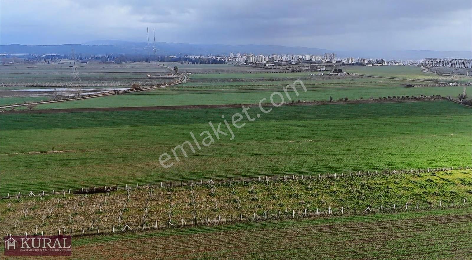İzmir Torbalı Türkmende12,5 Dönüm 2+1evi Cevizbahçesi Elektriksu - Görsel 32